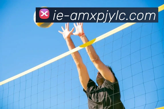 新葡京娱乐APP 封面图